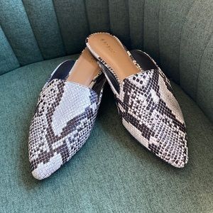 Bamboo. Snake Skin mule shoes. Size 10.
